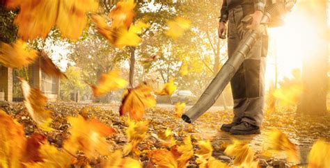 Pourquoi Faut Il Ramasser Les Feuilles Mortes Les Jardins D Anet