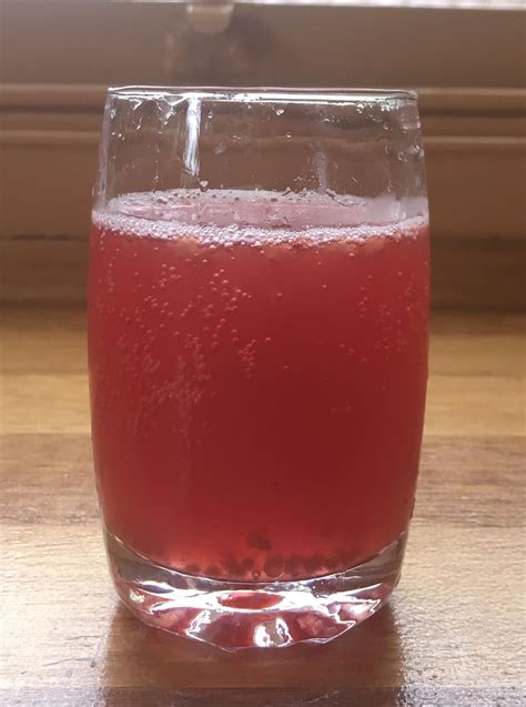 Raspberry Kombucha Is My Favorite That I Made So Far Great Carbonation