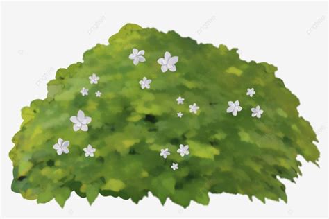 Garden Bush Clipart Transparent Background, Garden Clipart, Background ...