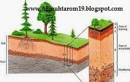 Faktor Yang Mempengaruhi PH Tanah Ali Muhtarom Mesuji