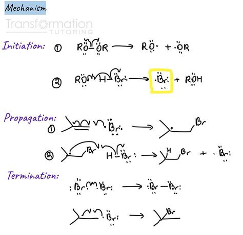 A Complete Guide To Radical Reactions