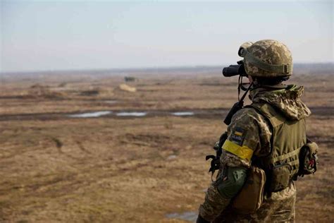 Заробляти 2000 євро за кілограм: як на Вінниччині вирощують трюфелі - ШоТам