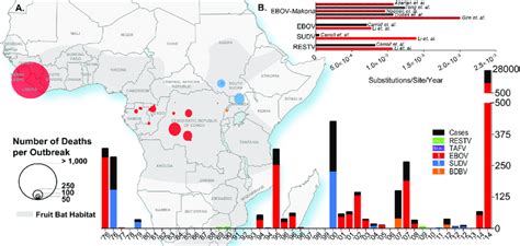 Ebolavirus outbreaks past and present. (A) The geographic map of Africa ...