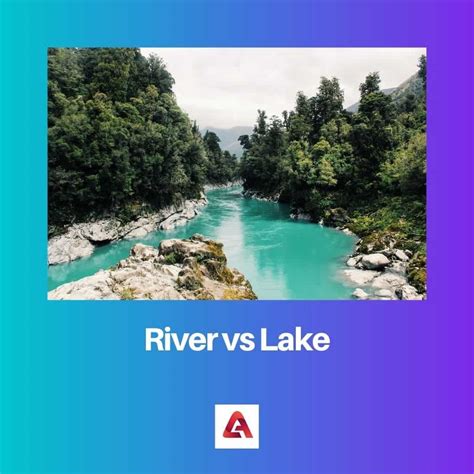 River vs Lake: Difference and Comparison