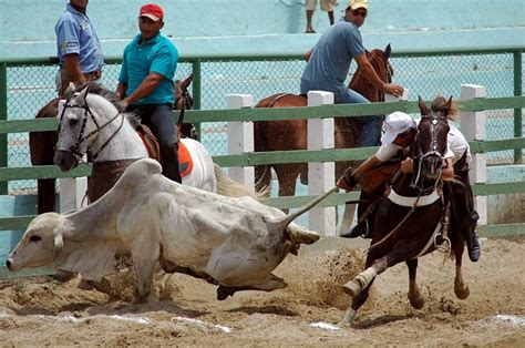 RN publica lei que reconhece vaquejada como patrimônio cultural e