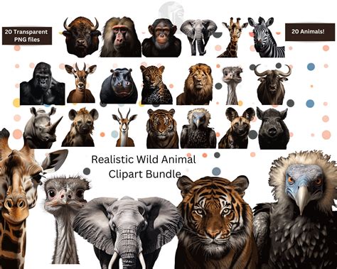 Realistic Wild Animal Clipart PNG Bundle 20 Different Animals - Etsy