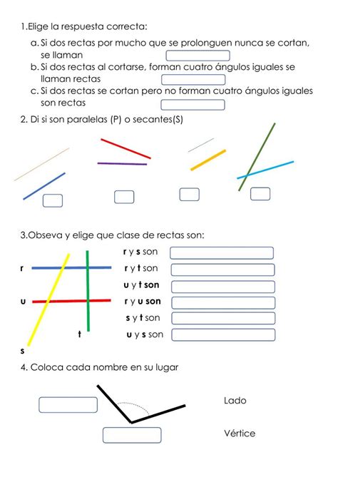 Actividad Interactiva De Rectas Y Ngulos Para Interactive