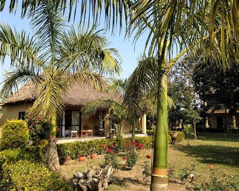 Into The Wild Eco Resort Chitwan National Park Specialty Resort