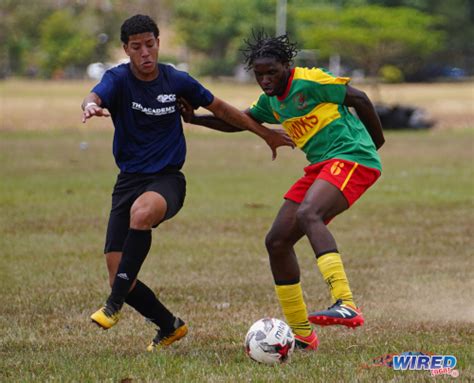 NYFL 2023: Premier SC clinch South U-20 title, while Cox Coaching ...