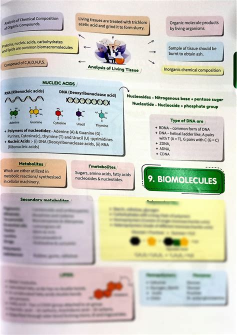 Solution Biomolecules Chapter Mind Map Or Short Notes Class Neet