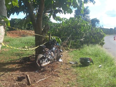 Mulher morre após moto colidir árvore na região de Ribeirão Preto