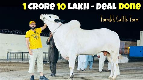 1 Crore 10 Lakh Deal Farrukh Cattle Farm Fateh Jang Bull 2024