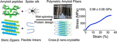 Microbially Synthesized Polymeric Amyloid Fiber Promotes Nanocrystal