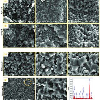 Surface Morphology Of Ti Substrates Before And After SBF Immersion