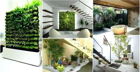 taman indoor bagaimana  membuat taman  ruangan