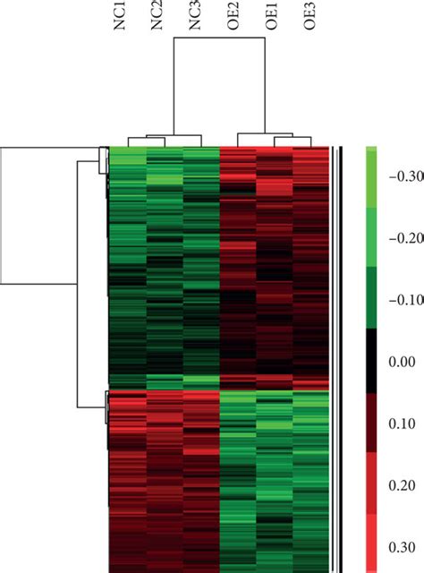 Two Way Clustering Heat Maps Of HFL 1 Fibroblasts Heat Maps Showing