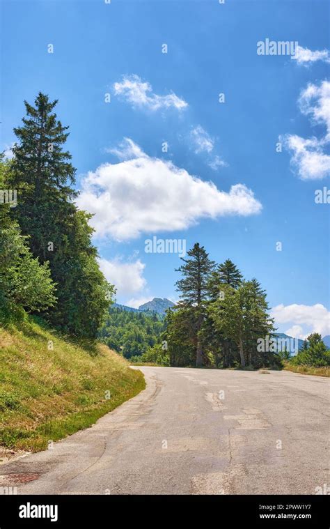 Kurvige Straße oder Straße durch grüne hohe Bäume mit einem wolkigen