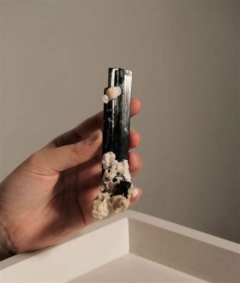 Tourmaline Var Schorl On Albite Matrix Collection Piece Crystal Garden