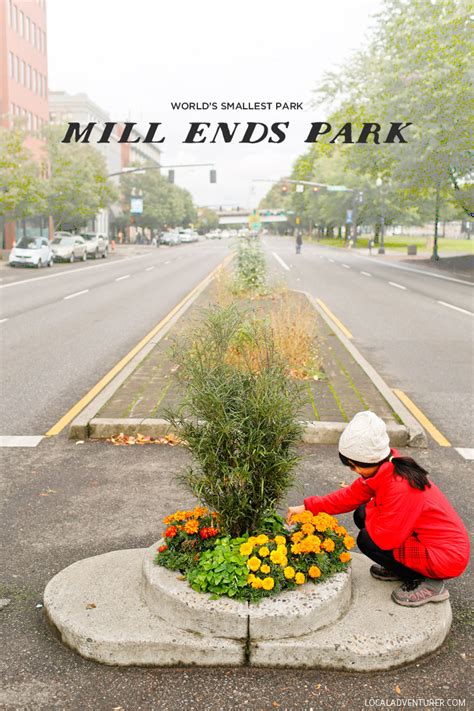 The Smallest Park in the World - Mill Ends Park Portland Oregon