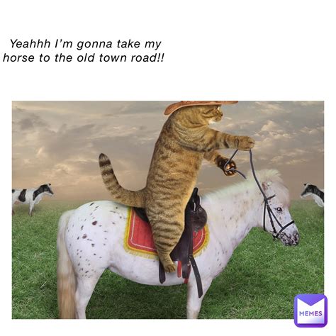 Yeahhh I’m gonna take my horse to the old town road!! yeahhh I’m gonna ...