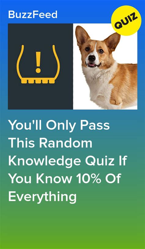 Who Are You Quizzes Fun Quizzes To Take Random Quizzes Best Buzzfeed