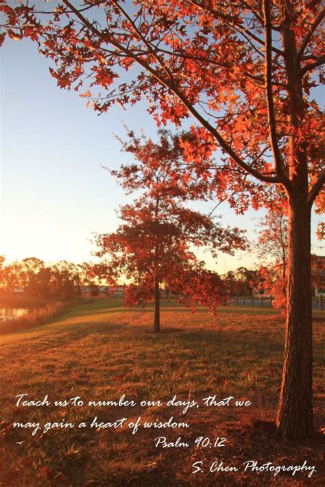 Autumn Bible Verses About Nature Bible Verses Quotes Scripture Verses