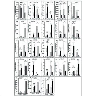 Relative Expression Of Degs That Are Involved In Embryo Development