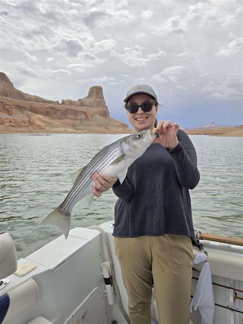 Lake Powell Fishing Report May 2024 By Capt Bill McBurney Ambassador