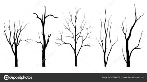 Arbre Branches Noires Silhouettes D arbres Nus Illustrations Isolées