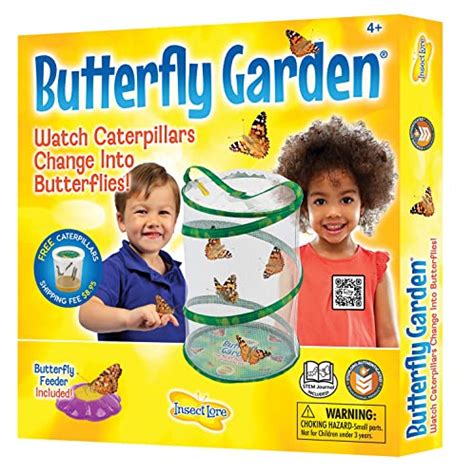 Butterfly Garden - Butterfly Growing Kit for Kids - Gifter World