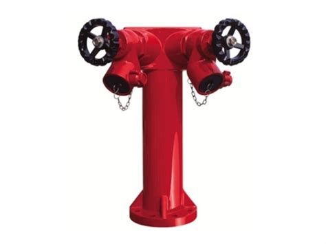 China Custom 2 Way Wet Fire Hydrant Manufacturers Suppliers Factory