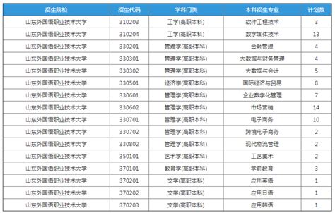 2023年山东外国语职业技术大学专升本退役士兵招生计划 山东外国语职业技术大学