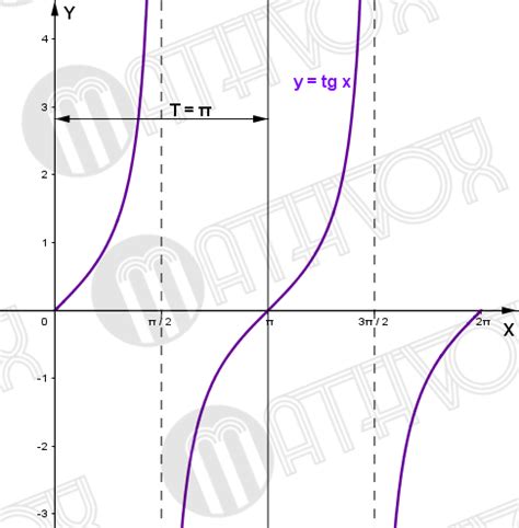 Chapter 4. Properties of the tangent function | MATHVOX