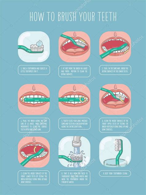 Cómo Cepillarse Los Dientes Plantilla De Infografía Vectorial Ilustración Plana 2024