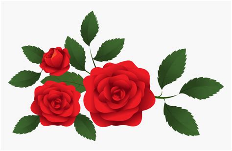 Red Roses Decoration Png Red Roses Clip Art Transparent Png