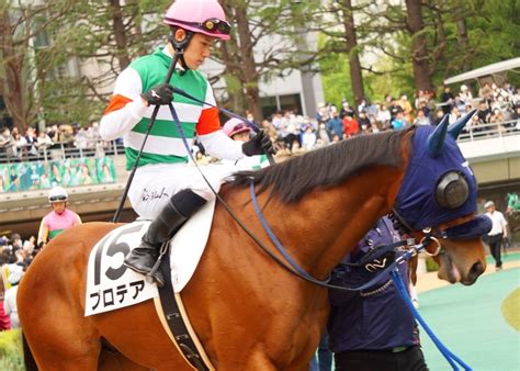 5月14日東京競馬⭐︎1r⭐︎3歳未勝利⭐︎プロテア⭐︎モジアナフレイバーの半弟 公式：黒澤ひかりのキラキラ日記～magic Kiss