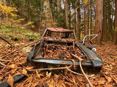 Premium Photo | Abandoned truck in forest