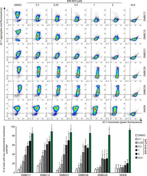 Drug-naïve BRAF V600E melanoma cell lines differ in initial... | Download Scientific Diagram