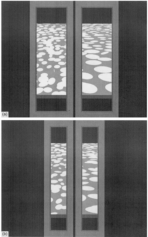 Example Stimuli For Experiment 2 A Stimuli With A 10 Horizontal