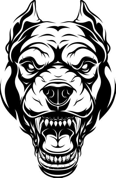 Pitbull Illustrations Royalty Free Vector Graphics And Clip Art Istock