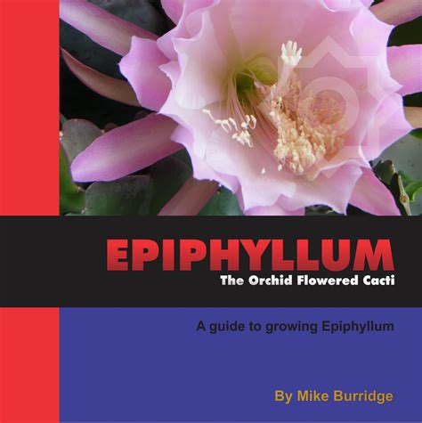 London Epiphyllums