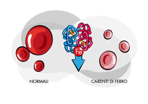 Tipi Di Anemia Cause E Valori Da Osservare Guna IT