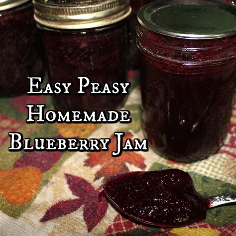 Easy Peasy Homemade Blueberry Jam The Misadventures Of A Homesteadin Mama