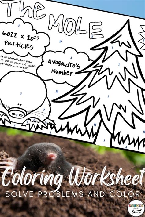 Mole Conversions Color By Number Moles Worksheet Activity With