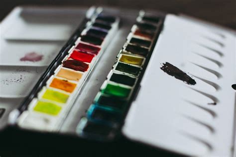 8 Best Watercolor Palettes For Beginners & Professionals