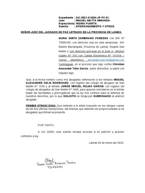 Designación De Nuevos Abogados Defensores Y Solicitud De Copias De