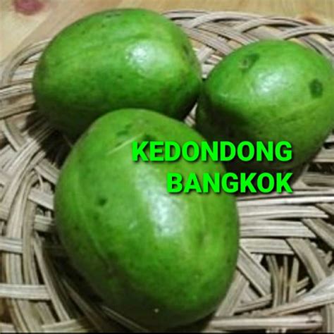 Jual Kedondong Bangkok Khusus Para Sultan Kg Premium Quality