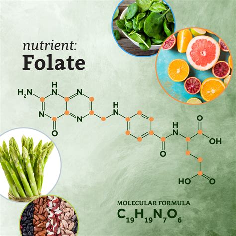 Folate is Essential, But Don’t Overdo It | UNC NRI