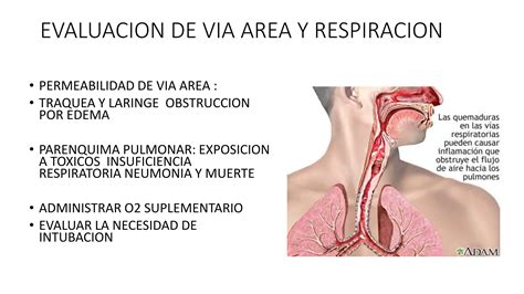 LESIONES POR INHALACION DE HUMO DIAGNOSTICO Y Pptx