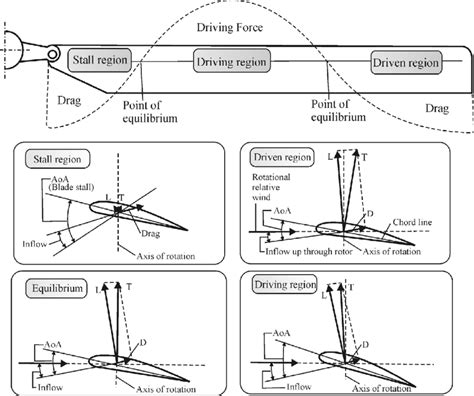 Force vectors in vertical autorotation. | Download Scientific Diagram